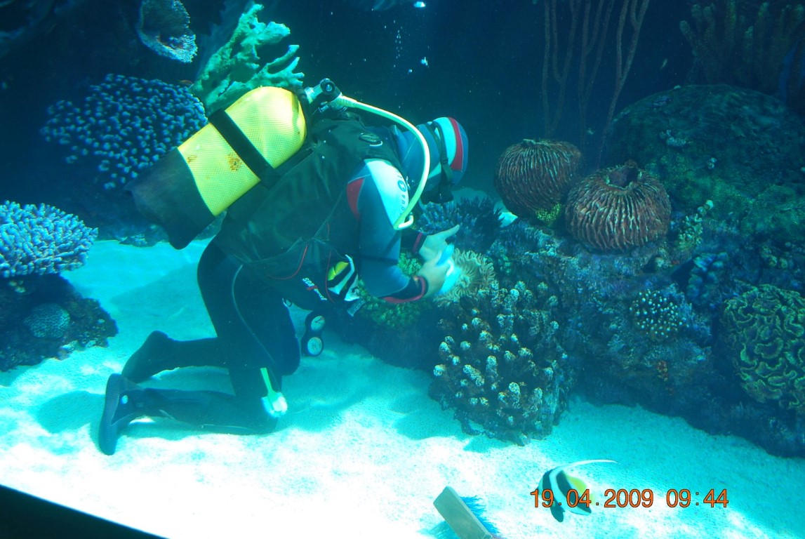 imagini hotel MARDAN PALACE